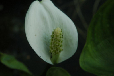 22._07._2009_060.jpg