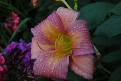 22._07._2009_049.jpg