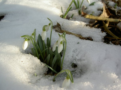 PICT2902.JPG