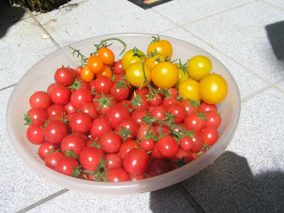 ernte250709.jpg