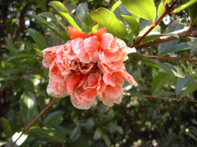 K640_PICT0847.JPG