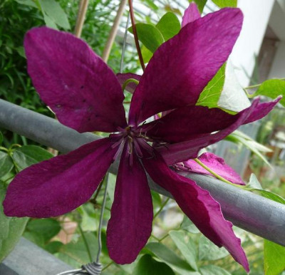 P1020188.JPG