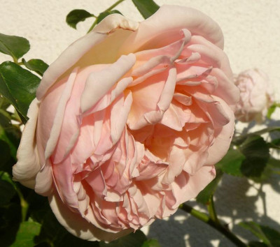 CC_07_09_07.JPG