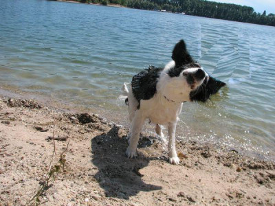 comp_3Hundi-26.07.09.jpg_014.jpg
