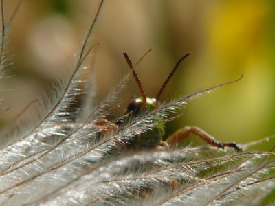 P1220130.JPG