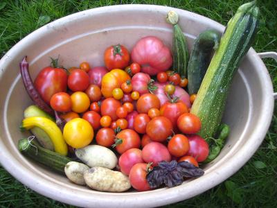 tomatenundmehr.jpg