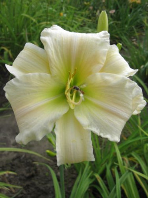 GT08-KLbb16_25371.jpg