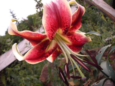 K640_PICT0982.JPG