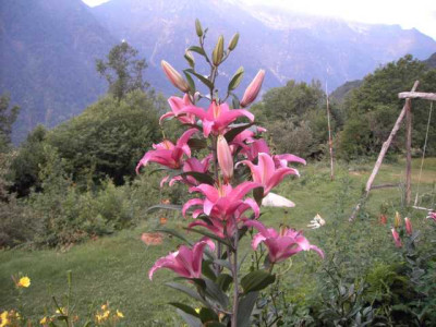 K640_PICT0984.JPG