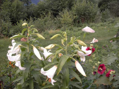 K640_PICT0989.JPG