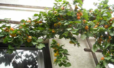 DSCN1872.jpg