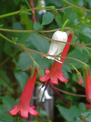 PhygCle_IMG_3362.jpg