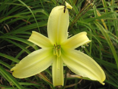 GT05-KL31.5__2646.jpg