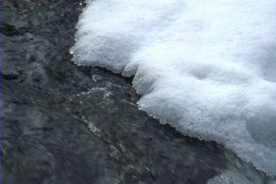 bach_N10524.jpg
