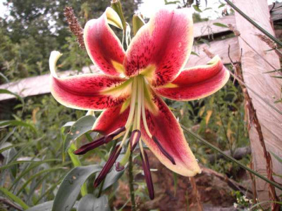 K640_PICT0999.JPG
