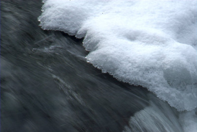 bach_N10522.jpg
