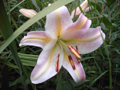 K640_PICT1007.JPG