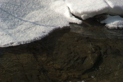 bach_N10551.jpg