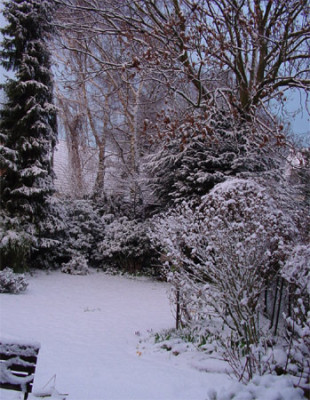 winter_in_koeln.jpg