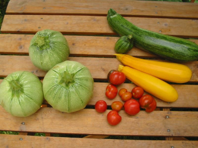 Ernte_03.08.09.jpg
