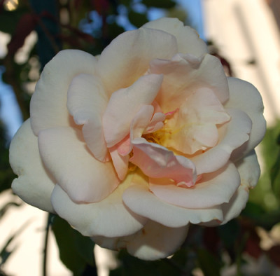 Reve_dOr_0010__55382.jpg
