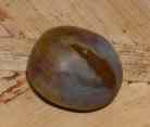 DSCN1881_spenling_09.jpg