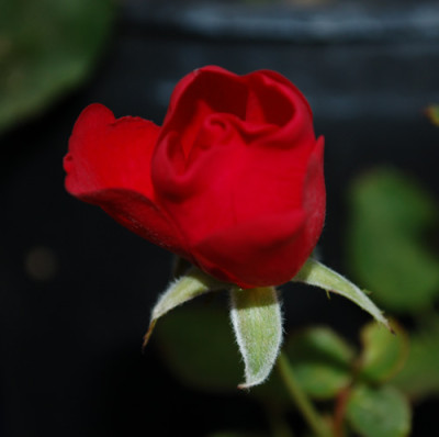 Schirmherr_2_0010__5947.jpg