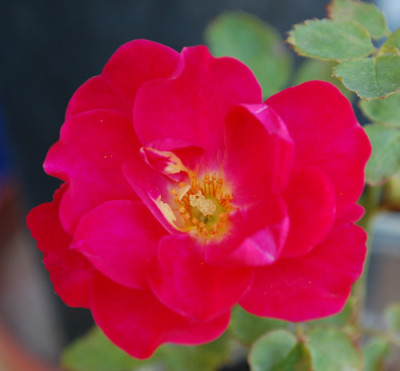Schirmherr_3_0010__5978.jpg