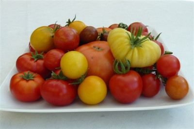 06.08.2009.61.JPG