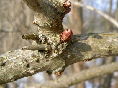 PICT2895.JPG