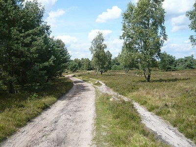 h6.jpg