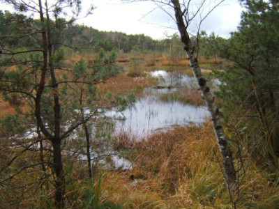 DSCF9329.JPG