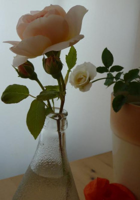 CC_Vase4.JPG