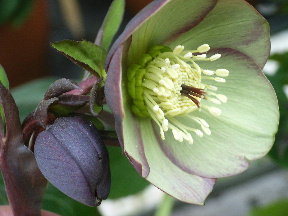 Rimg0065.jpg