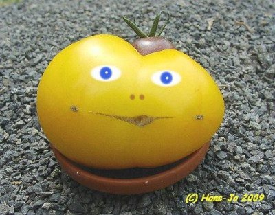 comp_3Hans-Jo_Yellow_Taxi-_Zwilling.jpg