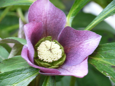 Rimg0068.jpg