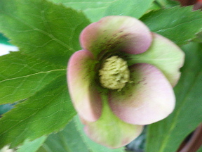 Rimg0069.jpg
