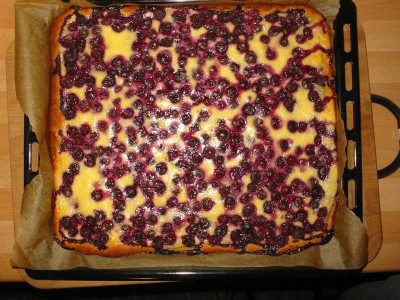 Heidelbeerkuchen_1.jpg