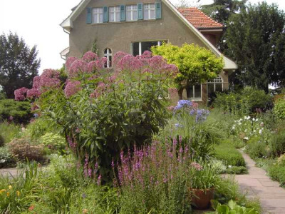 PICT3389.JPG