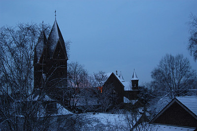 0028_vitalis.jpg