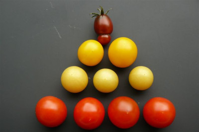 10.08.2009.60.JPG