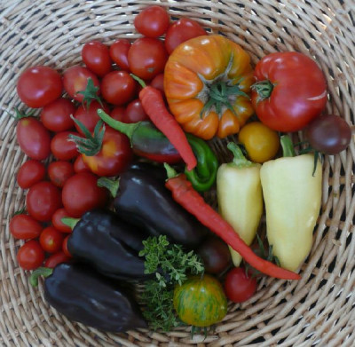 0_ernte_090808.jpg
