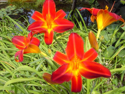 PICT3406.JPG