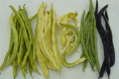 11.08.2009.60.JPG