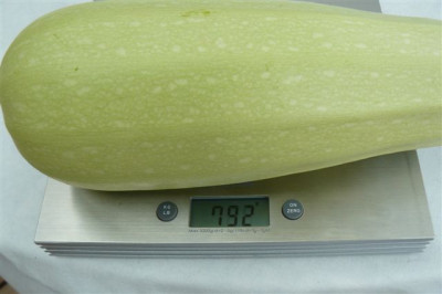 12.08.2009.00.JPG