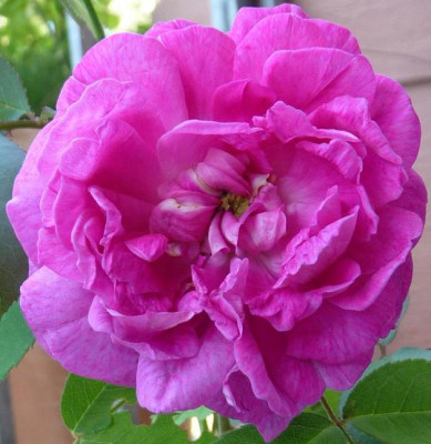 RdV_08_09_07.JPG