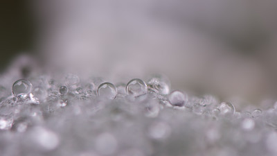 Regen-Aug1209.jpg