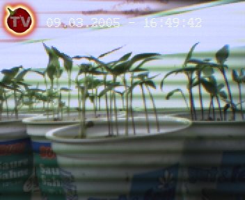 output_ctv.jpg