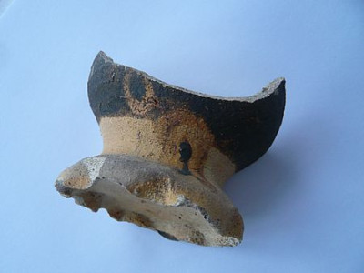 Gefaessfuss_fars_2009.jpg