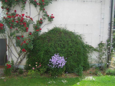 kiesbeet_vorher.jpg